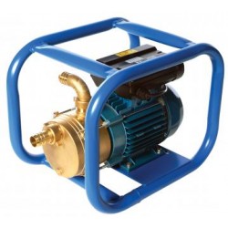 110v Transfer Pump